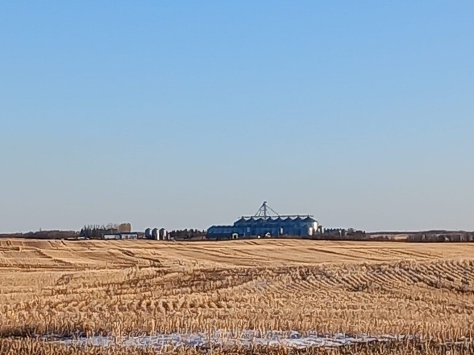 Norenda Ag Yard