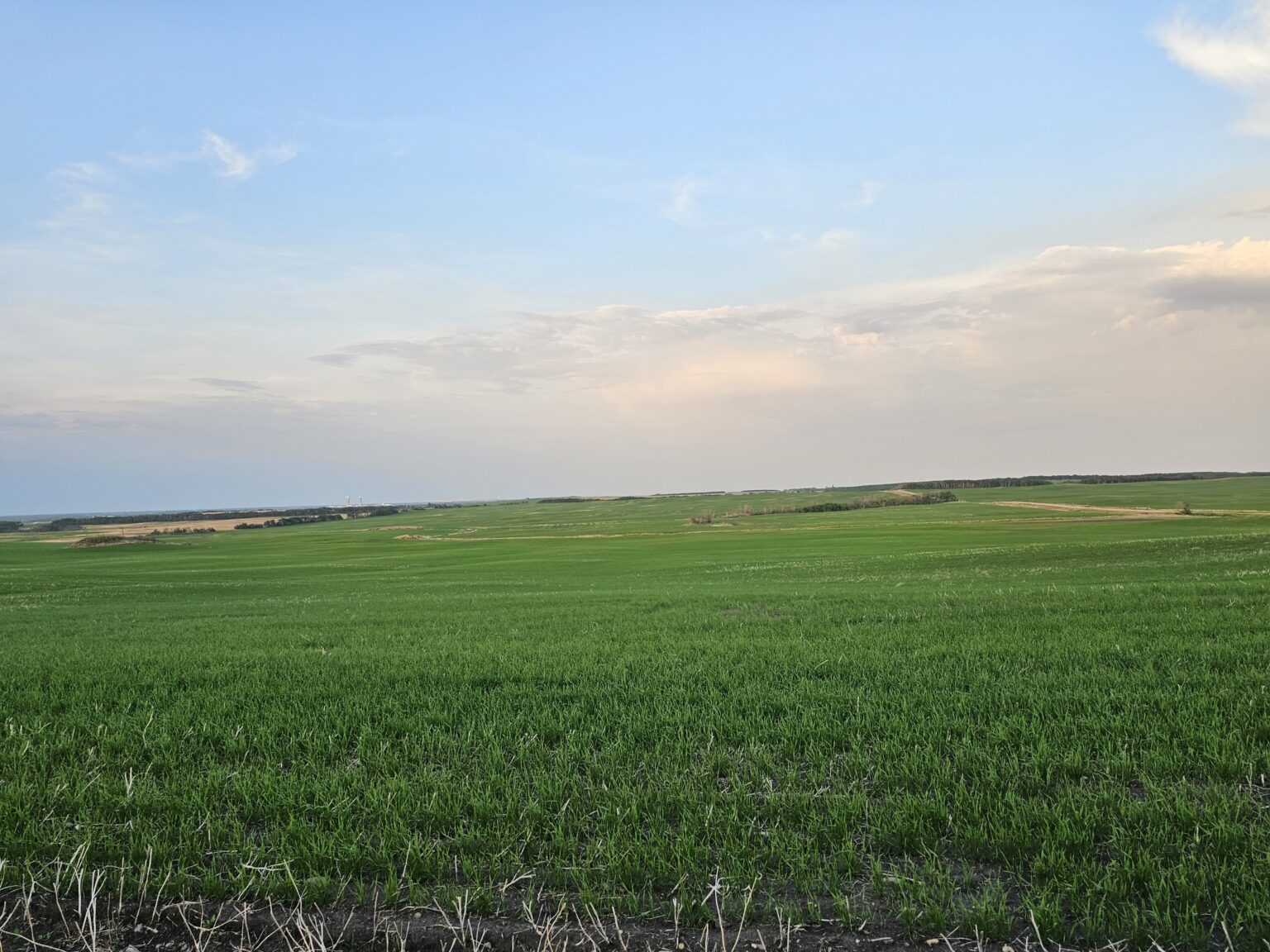 Norenda Ag Field
