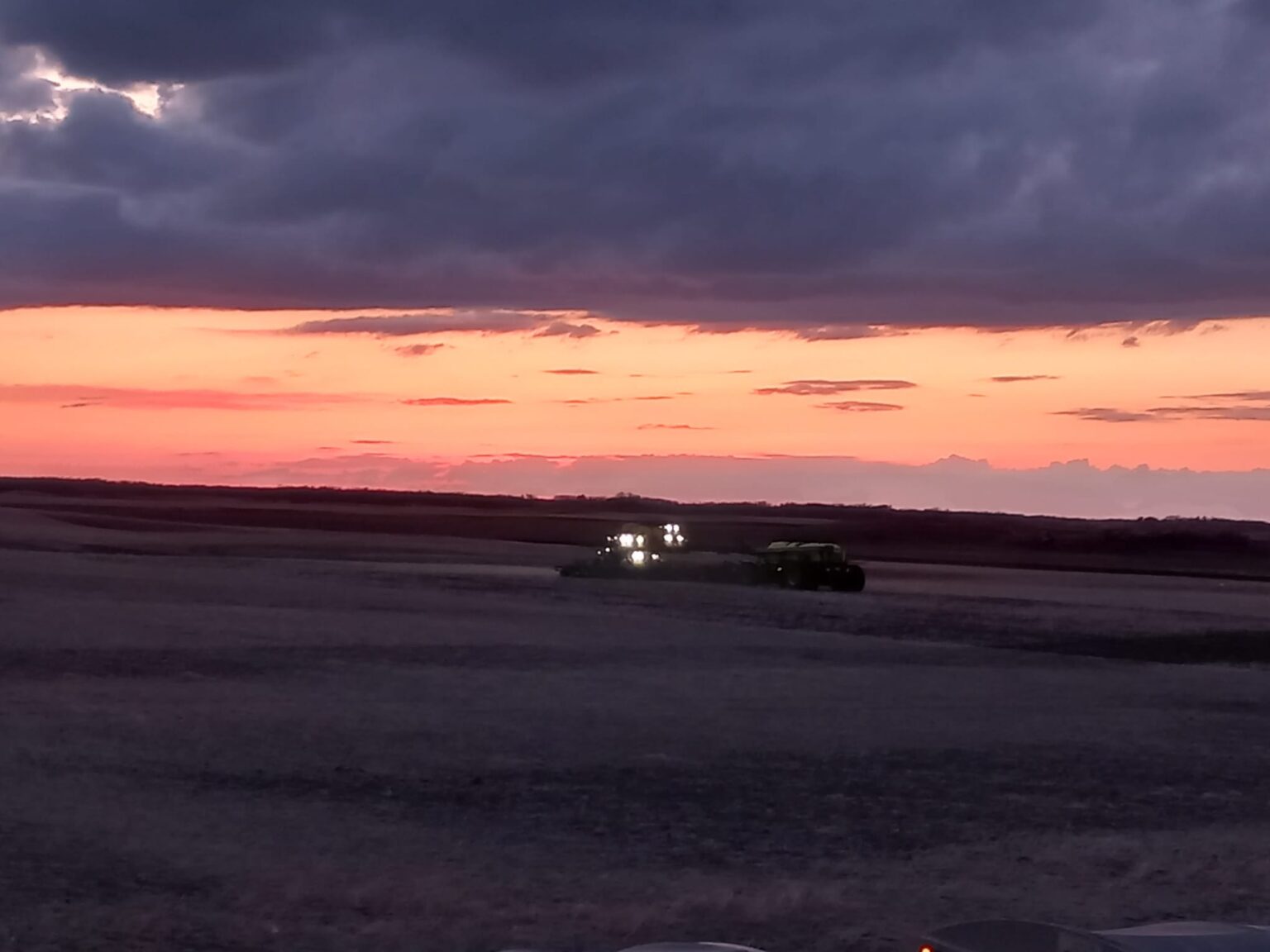 Norenda Ag Dusk